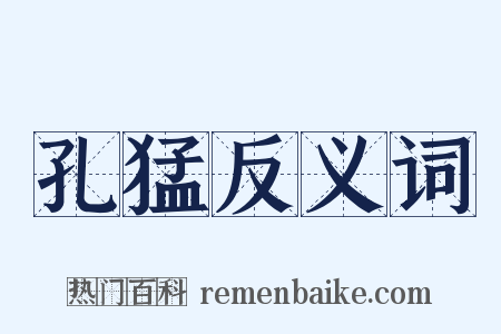 孔猛反义词是什么意思的图片